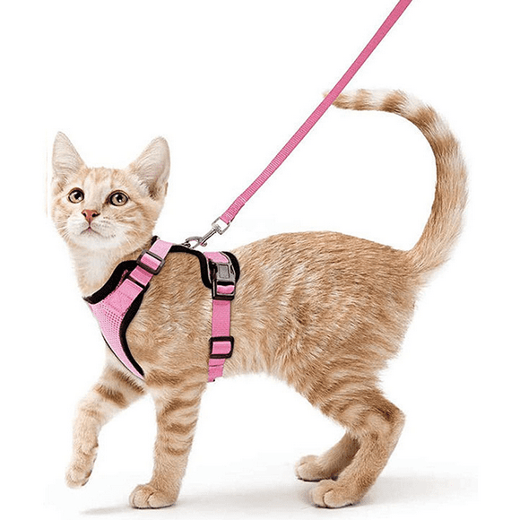 Cat Harness Small Dog Leash Adjustable Kitten Harness Pink S Collar Reflective Cat Harness Breathable Vest for Rabbit, European Cat, Maine Coon, Persian, Clip on with Leash，JUN