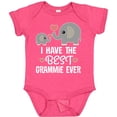 thumbnail image 3 of Inktastic Grandkids Best Grammie Ever Boys or Girls Baby Bodysuit, 3 of 5