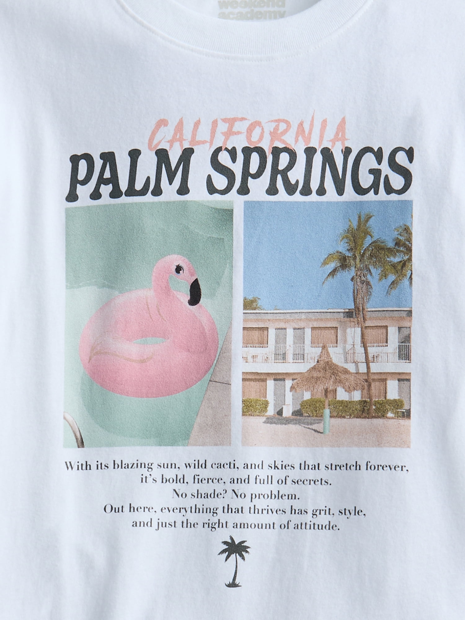 Weekend Academy Girls Graphic Cotton Tee with Short Sleeves, Sizes 4-18