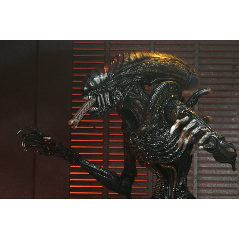 NECA Scorched Xenomorph (未開封品:外箱ダメージ有り) Alien: Romulus Ultimate Scorched Alien Xenomorph – WACKO Los