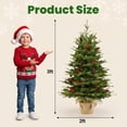 thumbnail image 6 of 3ft Artificial Small Christmas Tree with 70 Warm White Lights, Mini Tabletop Christmas Tree, Battery Operated 100 PE & PVC Mixed Thick Branches Pinecones Red Berries Burlap Base Xmas Desk, Home Decor, 6 of 10