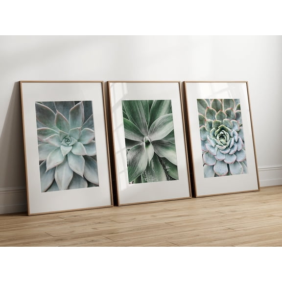 Photography Wall Art Decoration Set 3 Unframed Paper Print 8x12