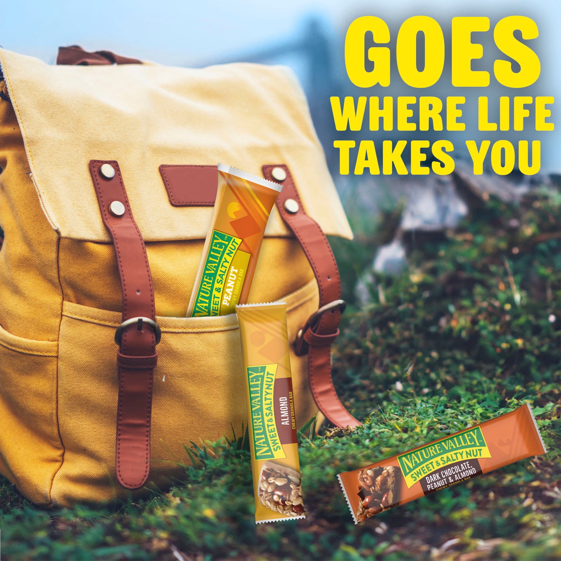 (3 pack) Nature Valley Sweet and Salty Nut Granola Bars, Variety Pack, 15 Bars, 18 oz