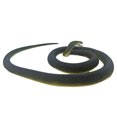 thumbnail image 3 of Juguete para niños, simulación de serpiente, truco de serpiente, gran serpiente verde, goma suave, gran serpiente falsa, modelo animal, accesorios de truco, 3 of 6