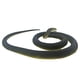 thumbnail image 3 of Juguete para niños, simulación de serpiente, truco de serpiente, gran serpiente verde, goma suave, gran serpiente falsa, modelo animal, accesorios de truco, 3 of 6