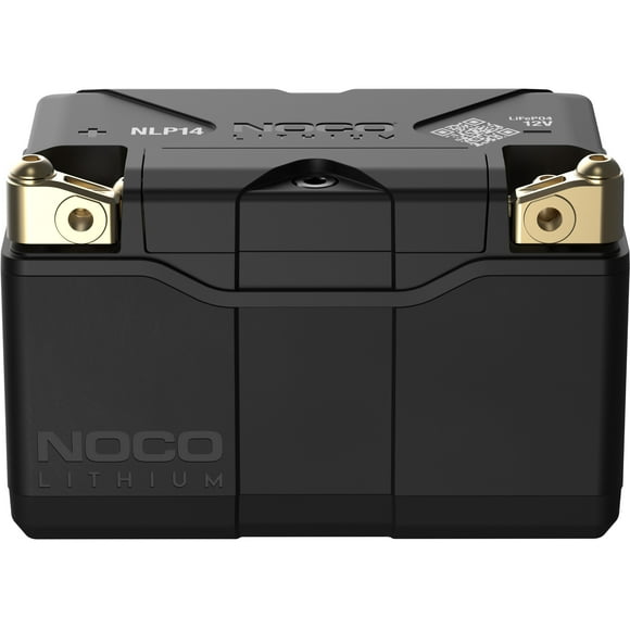 163465 Battery