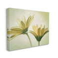 thumbnail image 4 of Stupell Industries Two Daisies Painting Botanical & Floral Painting Gallery Wrapped Canvas Art Print Wall Art, 20 x 16, 4 of 8