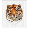 thumbnail image 3 of Ambesonne Tiger Shower Curtain, Calm Stare Watercolor Art, 69"Wx75"L, Orange Black, 3 of 3