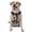 With Accessories, variant on Naloa Flying Swans Pet Harness Vest with Traction Rope, Adjustable No-Choke Dog Vest for Outdoor, Walking - X-Large