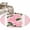 Pink, variant on Red Roses Area Rugs 8'x10', Small Throw Rugs for Living Room Patio, Valentine's Day Romantic Flowers Green Leaf Stripes Indoor Outdoor Rug Non-Slip Low Pile Carpet Runner Reversible Floor Mats