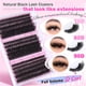 thumbnail image 2 of Extensiones de pestañas Focipeysa Fluffy Mink Cluster 10-18mm, 2 of 7