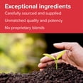 thumbnail image 3 of Vibrant Health Boron, 60 Vegetable Capsules, 3 of 9