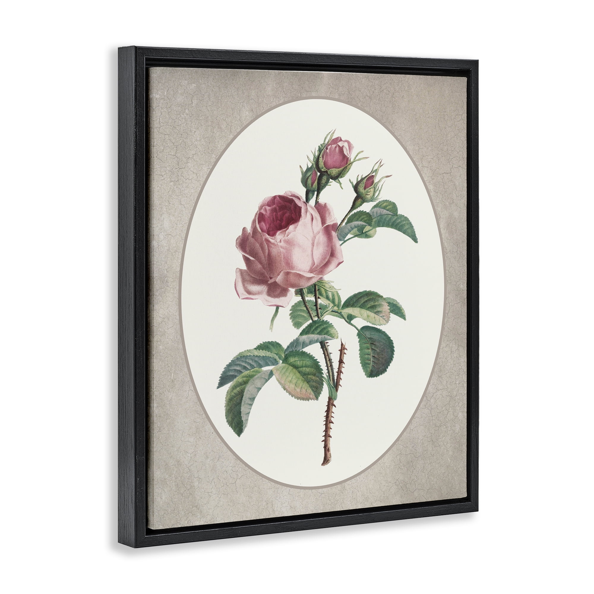 Vintage Rose within Oval Black Framed Floater Canvas Wall Art, design by Lettered and Lined