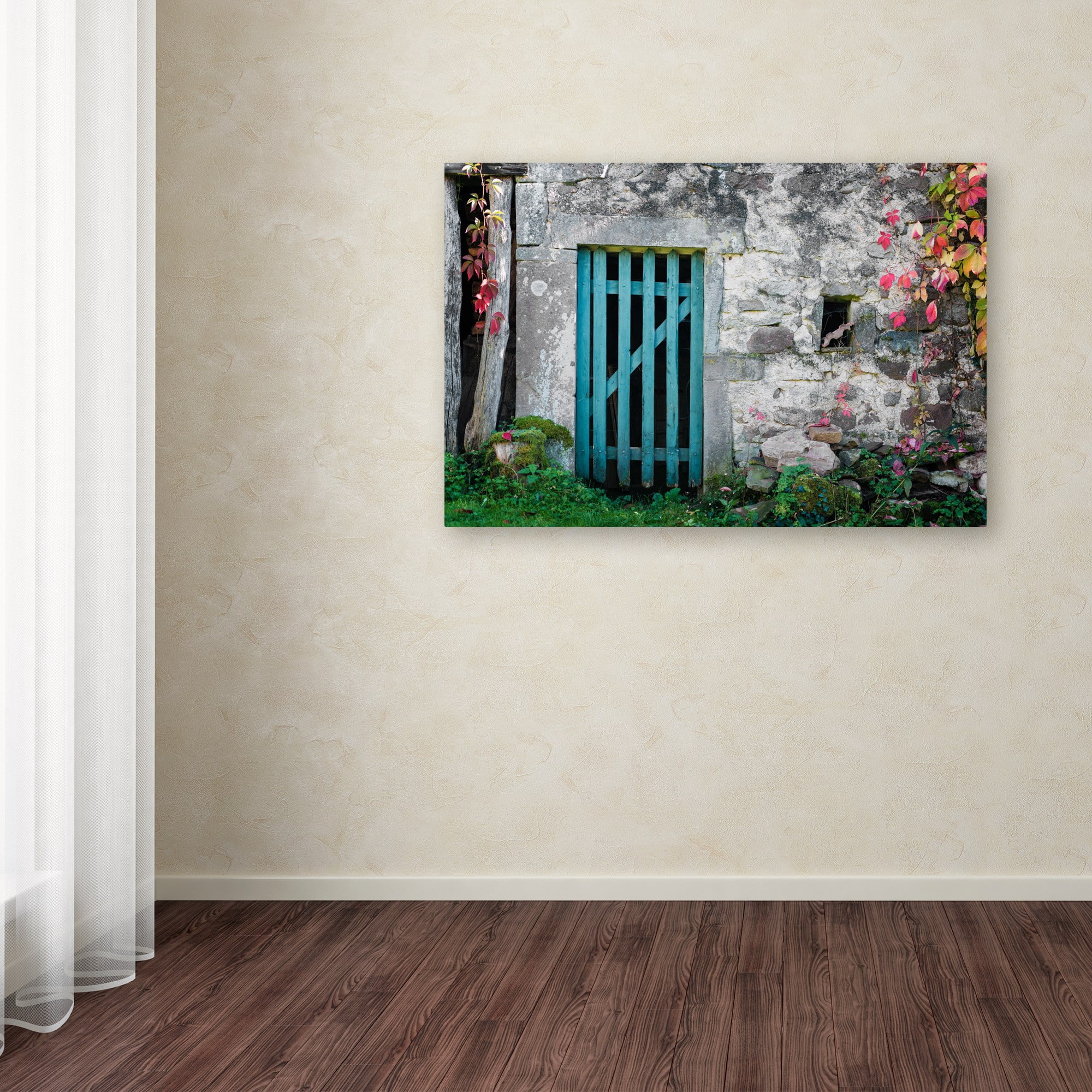 Trademark Fine Art "The Old Wooden Door" Canvas Art by Philippe Sainte-Laudy