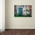 thumbnail image 4 of Trademark Fine Art "The Old Wooden Door" Canvas Art by Philippe Sainte-Laudy, 4 of 4