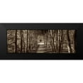 thumbnail image 2 of Blaustein, Alan 14x7 Black Modern Framed Museum Art Print Titled - Hampton Gates Promenade - 2, 2 of 5