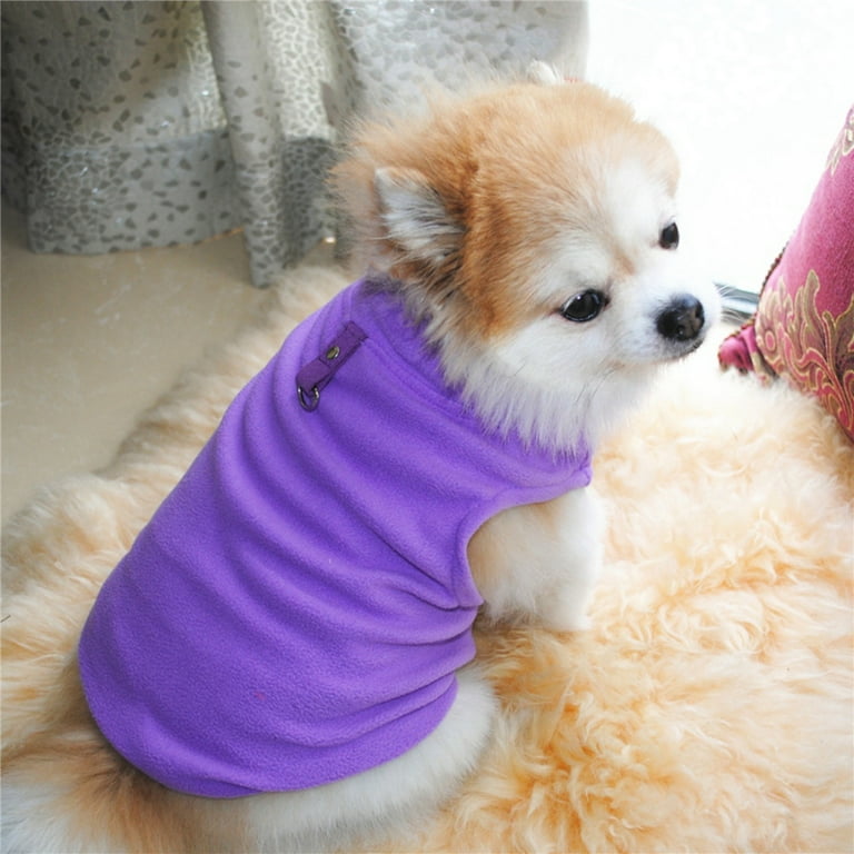 Petit dog apparel online