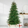 thumbnail image 2 of Northlight Clear Prelit LED Green Hudson Fir Artificial Christmas Tree, 9', 2 of 9