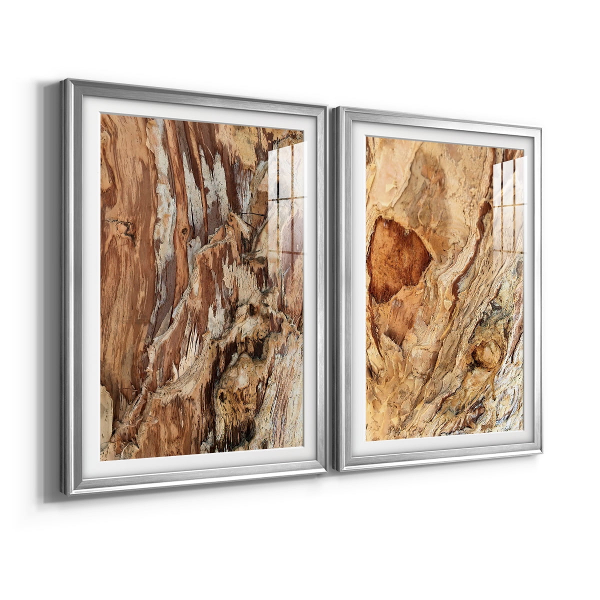 Wexford Home Tree Texture Triptych I Premium Framed Print, 22.5" x 30.5" - Ready to Hang, Silver (Set of 2)