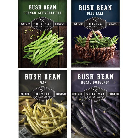 Bush Bean Seeds Variety Pack - 4 Heirloom Full Sun Annual Vegetables
