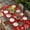 Red Green, variant on Blue Christmas Table Cloths for 5 Foot Rectangle Tables, Winter Pine Tree Gold White Snowflakes Patio Waterproof Elastic Fitted Tablecloths, Washable Rectangular Table Cover for Camping