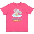 thumbnail image 3 of Inktastic Grandma's Ray Of Sunshine Cute Elephants Rainclouds and Sun Youth T-Shirt, 3 of 5