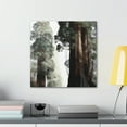 thumbnail image 4 of Giant Sequoia Reflection - Canvas, 4 of 11