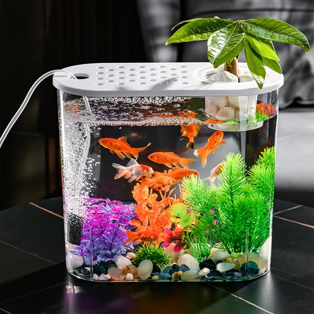 Miogawg Small Fish Tank, Aquarium Tank Kit With Filter, Self Cleaning Filtration, For Home, Office, Room, Decorative Desktop