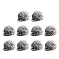 thumbnail image 6 of Masteelf 10pcs Micro Landscape Mini Hedgehog Simulation Cartoon Animal Miniature Statue Resin Crafts Desktop Small Ornaments Home Decor(Black White), 6 of 8