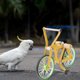 thumbnail image 2 of Juguete de entrenamiento de inteligencia para loros, juguete de bicicleta para loros, juguete educativo para hacer ejercicio con aves., 2 of 6