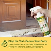 EcoVenger Ant & Crawling Insect Killer (Citrus Scent) 16 OZ, Kills Fast in Minutes, Also Kills Spiders, Centipedes & More, Repels with Residual, Natural & Non-Toxic, Children & Pets Safe