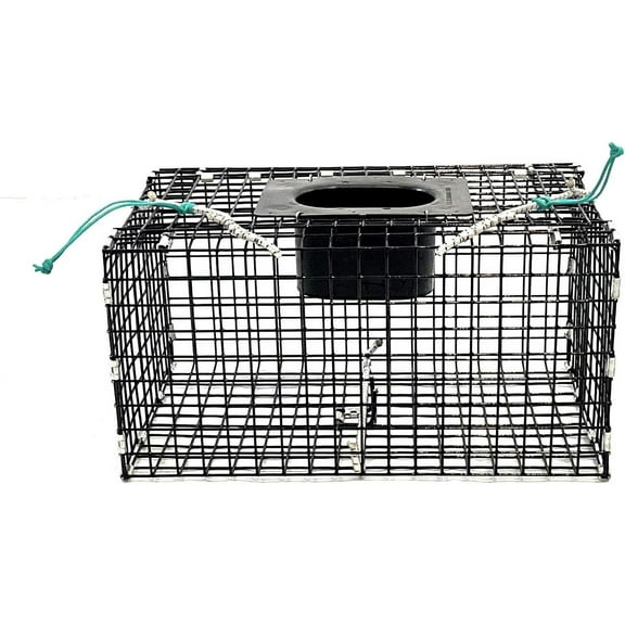 Ketcham Supply PVC Coated Wire Mesh Small Green Crab Trap