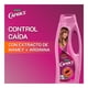 thumbnail image 4 of Shampoo Caprice Especialidades Control Caída Mamey + Arginina 750 ml, 4 of 4