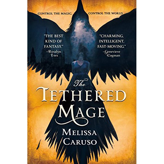 Pre-Owned The Tethered Mage (Swords and Fire, 1), 9780316466875, 0316466875, Paperback,