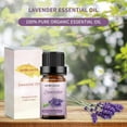 thumbnail image 4 of Sedbuwza Essential Oil 100% Pure Sandalwood, Lavender and Peppermint Set 10ml, 4 of 7