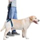 thumbnail image 1 of Cinturón de Soporte para Perros ZHAOCHENG Azul Circunferencia de la Pierna 35-45 cm, 1 of 5