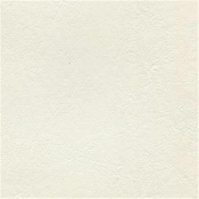 Lighthouse 4922 100 Percent Polyvinyl Chloride Fabric, Snow White