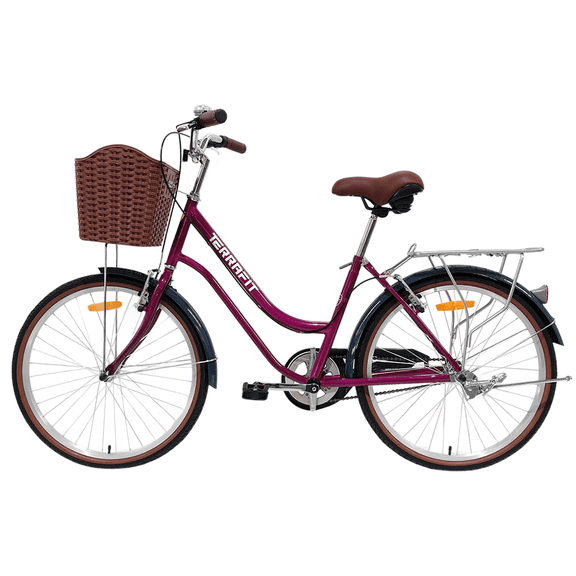 Bicicleta Vintage NIZA R24 Color Uva