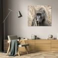 thumbnail image 3 of Dana Underdahl 32x26 Gallery Wrapped Canvas Wall Art Titled - Baboon Portrait IV, 3 of 4
