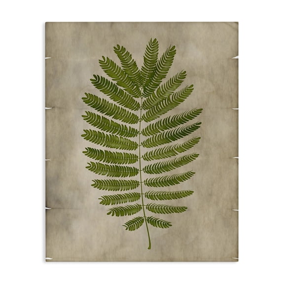 Stupell Industries Cottage Plant Drawing Parchment Green Design Canvas Art, 30 x 40, by Ziwei Li