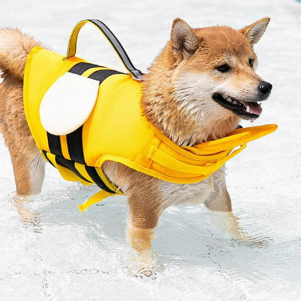 Veste de flottaison pour chien walmart cheap