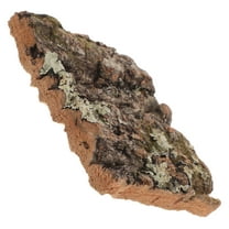 SEWCHICS Handcrafted Dark Brown Bark Terrarium Background Decor for Reptile Tanks, Aquariums, and Lizard Habitats 12 Inch