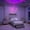 Gray, variant on SIBEDS Queen Bed Frame with Wingback Headboard, Galaxy Projector & Charging Station, Upholstered Platform Bed with 2 Storage Drawers, PU White