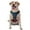 With Accessories, variant on Vsdgher Red And Blue Fire Pattern Dog Harness,No Pull Pet Harness with Soft Padded Handle,Adjustable Reflective Vest with 2 Buckles,4 Slide Buckles,S-XL Large