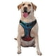 thumbnail image 1 of Balery Red And Blue Fire Arnés para Perros Grandes Antitirones, Arnés con Correa para Gato, Arnés Tipo Chaleco para Perros Pequeños-Large, 1 of 6