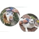 thumbnail image 4 of Acaricie el cepillo con punta de goma de mano del Pin, cepillo de la preparación para los perros que vierten, cepillos del perro para la preparación hacen, 4 of 5