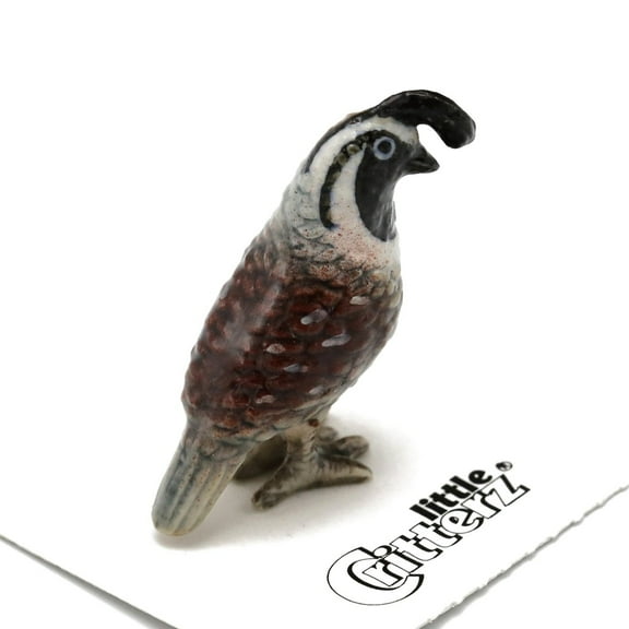 Little Critterz California Quail Valley "Chi-ca-go" Bird - Hand-painted Home Decor Bird Decorative Figurine - Miniature Porcelain Figurine