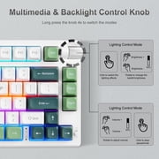 75% Wireless Mechanical Keyboard, 3-Mode BT5.0/2.4GHz/USB-C Hot Swappable Custom Keyboard with Knob, Mechanical Gaming Keyboards with RGB Backlit for PC/Tablet/PS/Xbox, White