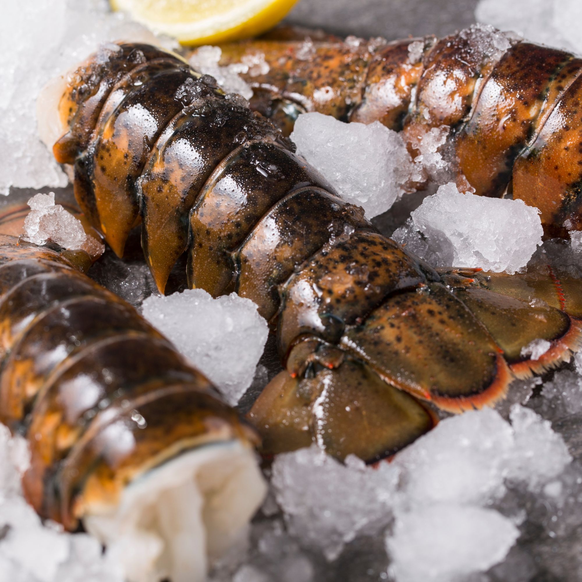 Today Gourmet Lobster Tails - 14oz.-16oz. - (2 Tails)