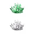 thumbnail image 1 of 2x Kits De Ciencia De Experimentos De Crecimiento De Cristal Para Kid Conduct Crystal, 1 of 7
